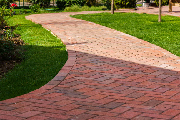 Best Driveway Paving Near Me  in Dudley, NC