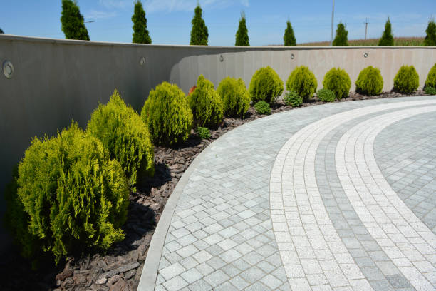 Best Brick Driveway Pavers  in Dudley, NC